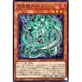 天盃龍ファドラ【ノーマル】{LEDE-JP017}《モンスター》
