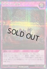 〔状態A-〕絶望との遭遇【シークレット】{RD/ORP4-JP035}《RD罠》