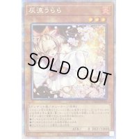〔状態C〕灰流うらら【プリズマティックシークレット】{PAC1-JP016}《モンスター》