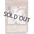 (新)灰流うらら【プリズマティックシークレット】{PAC1-JP016}《モンスター》