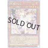 〔状態C〕(新)灰流うらら【プリズマティックシークレット】{PAC1-JP016}《モンスター》