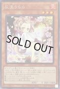 〔状態A-〕(新)灰流うらら【シークレット】{PAC1-JP016}《モンスター》