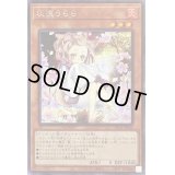 〔状態A-〕(新)灰流うらら【シークレット】{PAC1-JP016}《モンスター》