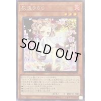 〔状態B〕(新)灰流うらら【シークレット】{PAC1-JP016}《モンスター》