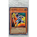 (未開封)隼の騎士【ノーマルパラレル】{PC3-002}《モンスター》