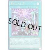 〔状態B〕束ねられし力【レリーフ】{PGB1-JP009}《魔法》