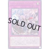 〔状態B〕ビッグウェルカムラビュリンス【レア】{PHHY-JP077}《罠》