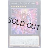 〔状態B〕クシャトリラアライズハート【シークレット】{PHHY-JP046}《エクシーズ》