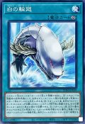 白の輪廻【ノーマル】{PHNI-JP058}《魔法》