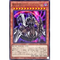 闇の守護神ダークガーディアン【レア】{PHNI-JP013}《モンスター》