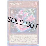 〔状態B〕蛇眼の炎燐【クォーターセンチュリーシークレット】{PHNI-JP012}《モンスター》