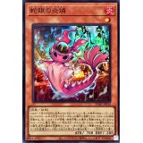 〔状態A-〕蛇眼の炎燐【スーパー】{PHNI-JP012}《モンスター》