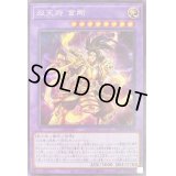 〔状態B〕双天将金剛【シークレット】{PHRA-JP034}《融合》