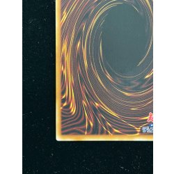画像12: 〔状態A-〕『トークンあり』side:PRIDEスペシャルカードセット(青眼の白龍&真紅眼の黒竜)【-】{-}《その他》