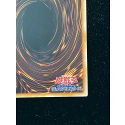画像13: 〔状態A-〕『トークンあり』side:PRIDEスペシャルカードセット(青眼の白龍&真紅眼の黒竜)【-】{-}《その他》