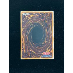 画像9: 〔状態A-〕『トークンあり』side:PRIDEスペシャルカードセット(青眼の白龍&真紅眼の黒竜)【-】{-}《その他》