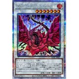 〔状態A-〕ブラックローズドラゴン(正面/白紫背景)【クォーターセンチュリーシークレット】{QCAC-JP003}《シンクロ》