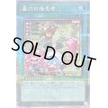 〔状態B〕[新]墓穴の指名者(LiveTwin)【クォーターセンチュリーシークレット】{QCAC-JP015}《魔法》