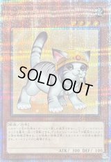〔状態B〕[新]レスキューキャット(右向)【クォーターセンチュリーシークレット】{QCAC-JP006}《モンスター》
