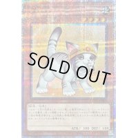 〔状態A-〕[新]レスキューキャット(右向)【クォーターセンチュリーシークレット】{QCAC-JP006}《モンスター》