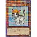 〔状態A-〕レスキューキャット(左向)【クォーターセンチュリーシークレット】{QCAC-JP006}《モンスター》