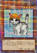 〔状態A-〕レスキューキャット(左向)【クォーターセンチュリーシークレット】{QCAC-JP006}《モンスター》