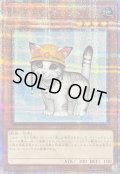 〔状態B〕レスキューキャット(左向)【クォーターセンチュリーシークレット】{QCAC-JP006}《モンスター》