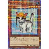 レスキューキャット(左向)【クォーターセンチュリーシークレット】{QCAC-JP006}《モンスター》