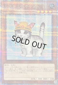 〔状態B〕レスキューキャット(左向)【クォーターセンチュリーシークレット】{QCAC-JP006}《モンスター》