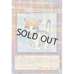 画像1: 〔状態B〕レスキューキャット(左向)【クォーターセンチュリーシークレット】{QCAC-JP006}《モンスター》