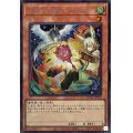 〔状態A-〕[新]ドロールロックバード(鳥左上)【シークレット】{QCAC-JP070}《モンスター》