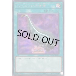 画像1: ハーピィの羽根帚(紫背景)【シークレット】{QCAC-JP024}《魔法》