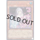 [新]儚無みずき(立ち)【シークレット】{QCAC-JP052}《モンスター》