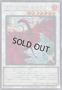 〔状態A-〕[新]ブラックローズドラゴン(左向/白緑背景)【シークレット】{QCAC-JP003}《シンクロ》