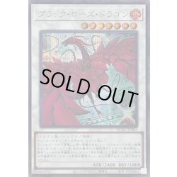 画像1: 〔状態A-〕[新]ブラックローズドラゴン(左向/白緑背景)【シークレット】{QCAC-JP003}《シンクロ》