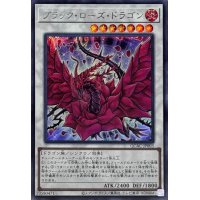 ブラックローズドラゴン(正面/白紫背景)【シークレット】{QCAC-JP003}《シンクロ》