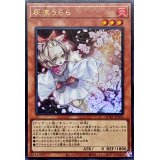 〔状態A-〕灰流うらら(立ち)【ウルトラ】{QCAC-JP050}《モンスター》