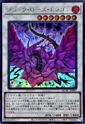 ブラックローズドラゴン(正面/白紫背景)【ウルトラ】{QCAC-JP003}《シンクロ》