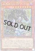〔状態A-〕☆アジア☆未界域のビッグフット(黒)【クォーターセンチュリーシークレット】{アジアQCAC-JP007}《モンスター》