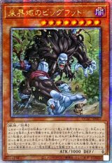 〔状態A-〕☆アジア☆未界域のビッグフット(黒)【クォーターセンチュリーシークレット】{アジアQCAC-JP007}《モンスター》