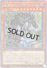 〔状態A-〕☆アジア☆未界域のビッグフット(黒)【クォーターセンチュリーシークレット】{アジアQCAC-JP007}《モンスター》