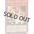 ☆アジア☆憑依装着ヒータ(フード無)【クォーターセンチュリーシークレット】{アジアQCAC-JP045}《モンスター》
