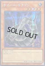 ☆アジア☆[新]サイバードラゴン(黒)【シークレット】{アジアQCAC-JP029}《モンスター》