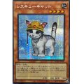 ☆アジア☆レスキューキャット(左向)【シークレット】{アジアQCAC-JP006}《モンスター》