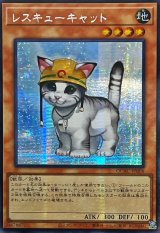 ☆アジア☆レスキューキャット(左向)【シークレット】{アジアQCAC-JP006}《モンスター》