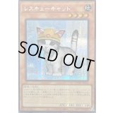 ☆アジア☆レスキューキャット(左向)【シークレット】{アジアQCAC-JP006}《モンスター》