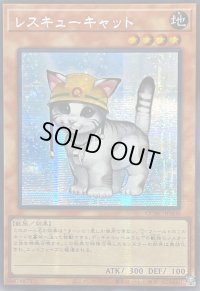 ☆アジア☆レスキューキャット(左向)【シークレット】{アジアQCAC-JP006}《モンスター》