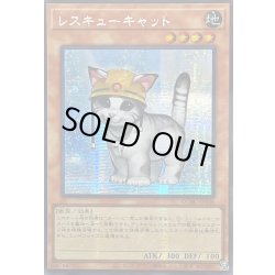 画像1: ☆アジア☆レスキューキャット(左向)【シークレット】{アジアQCAC-JP006}《モンスター》