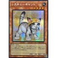 ☆アジア☆[新]レスキューキャット(右向)【シークレット】{アジアQCAC-JP006}《モンスター》