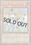 ☆アジア☆[新]レスキューキャット(右向)【シークレット】{アジアQCAC-JP006}《モンスター》